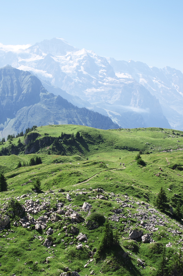 IMGP2199.jpg(419810 byte)