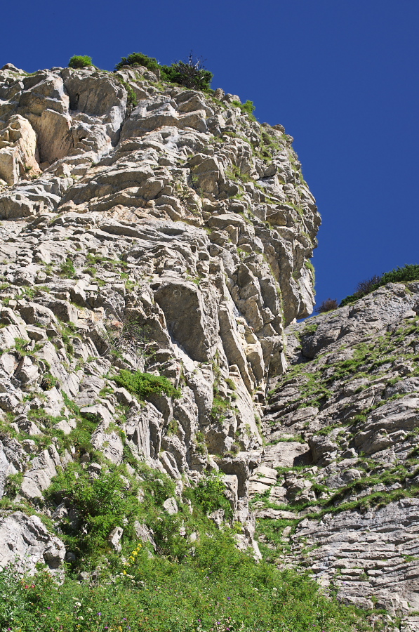 IMGP2201.jpg(552853 byte)