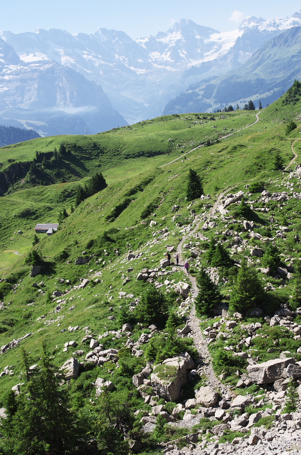 IMGP2203.jpg(529419 byte)