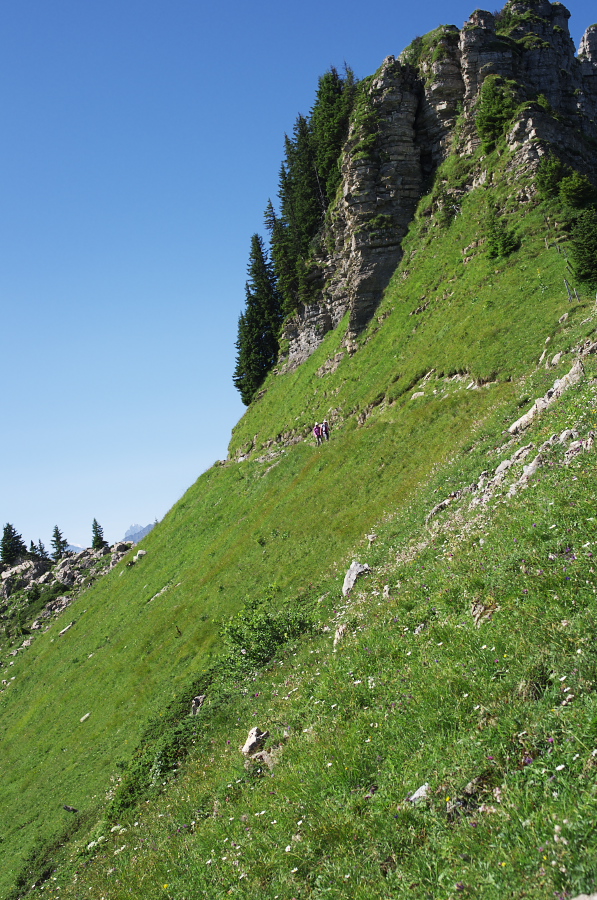 IMGP2208.jpg(475570 byte)