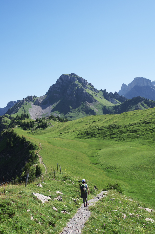 IMGP2209.jpg(356841 byte)