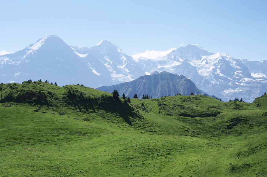 IMGP2211.jpg(337490 byte)