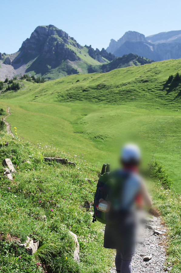 IMGP2213.jpg(440997 byte)