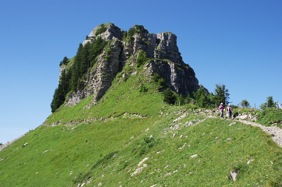 IMGP2217.jpg(402135 byte)