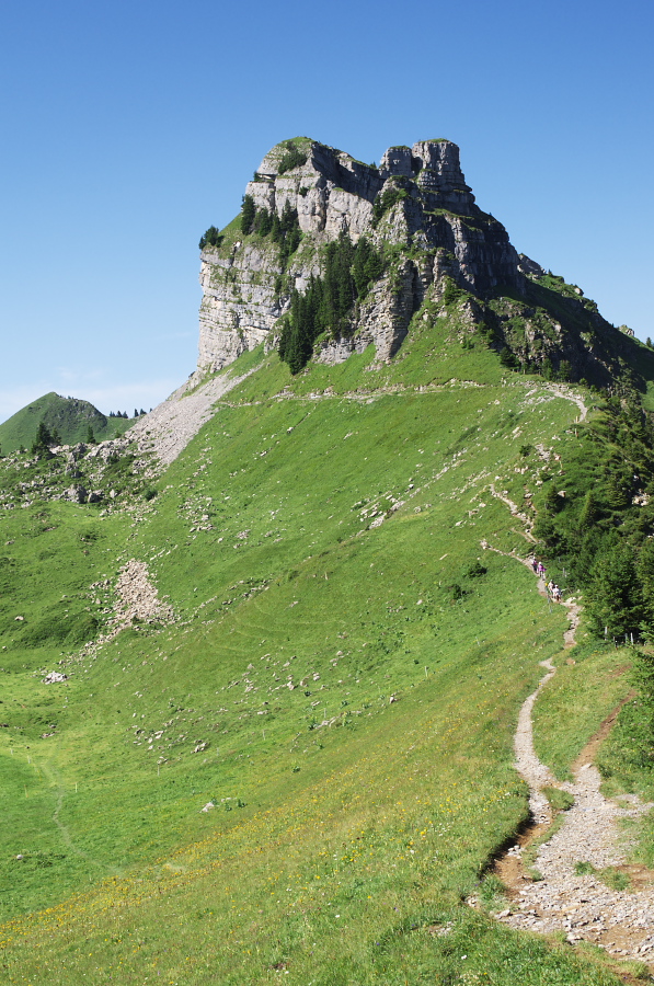 IMGP2219.jpg(444641 byte)