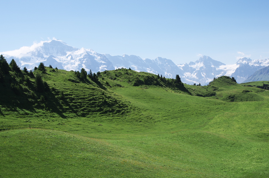 IMGP2221.jpg(344730 byte)