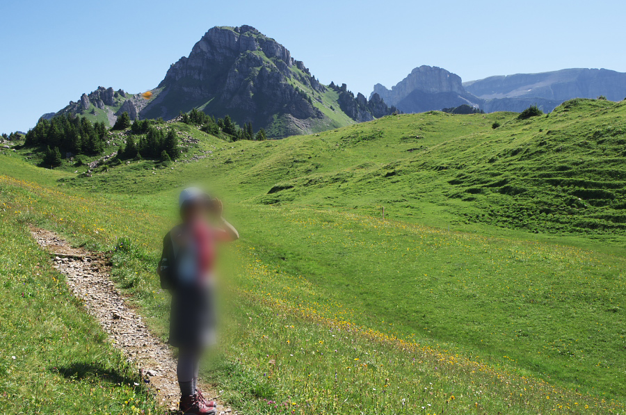 IMGP2222.jpg(481406 byte)