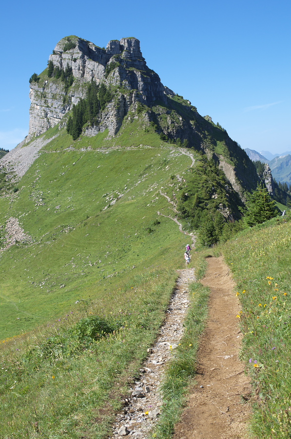 IMGP2224.jpg(474815 byte)