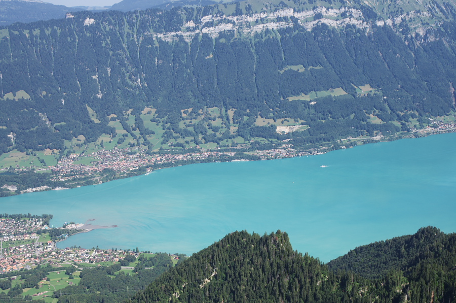 IMGP2228.jpg(390442 byte)