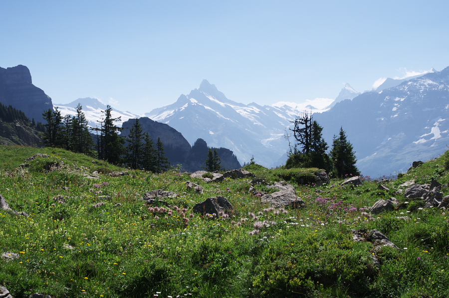 IMGP2231.jpg(414369 byte)