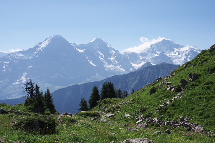 IMGP2232.jpg(353059 byte)