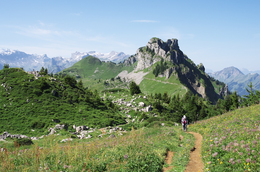 IMGP2238.jpg(455875 byte)