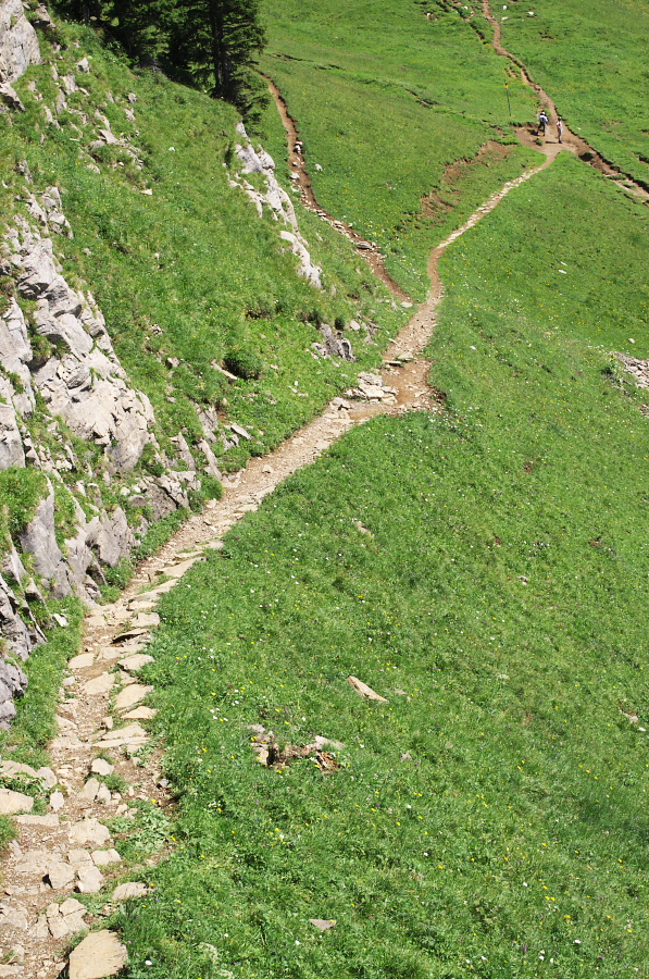 IMGP2242.jpg(629527 byte)