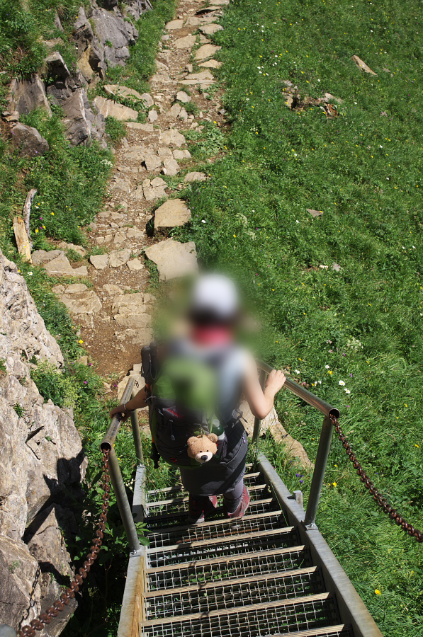 IMGP2243.jpg(602531 byte)