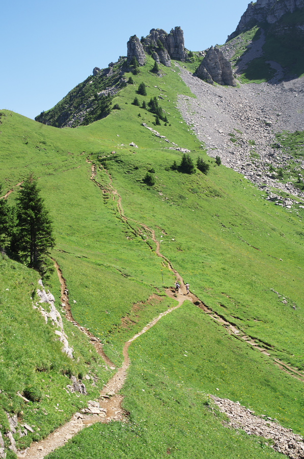 IMGP2246.jpg(513018 byte)