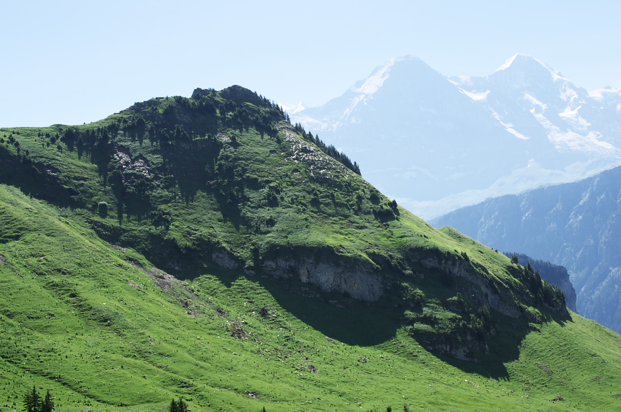 IMGP2249.jpg(346625 byte)