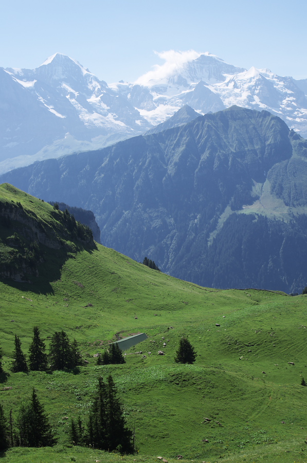 IMGP2250.jpg(333685 byte)