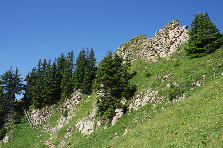 IMGP2252.jpg(479755 byte)