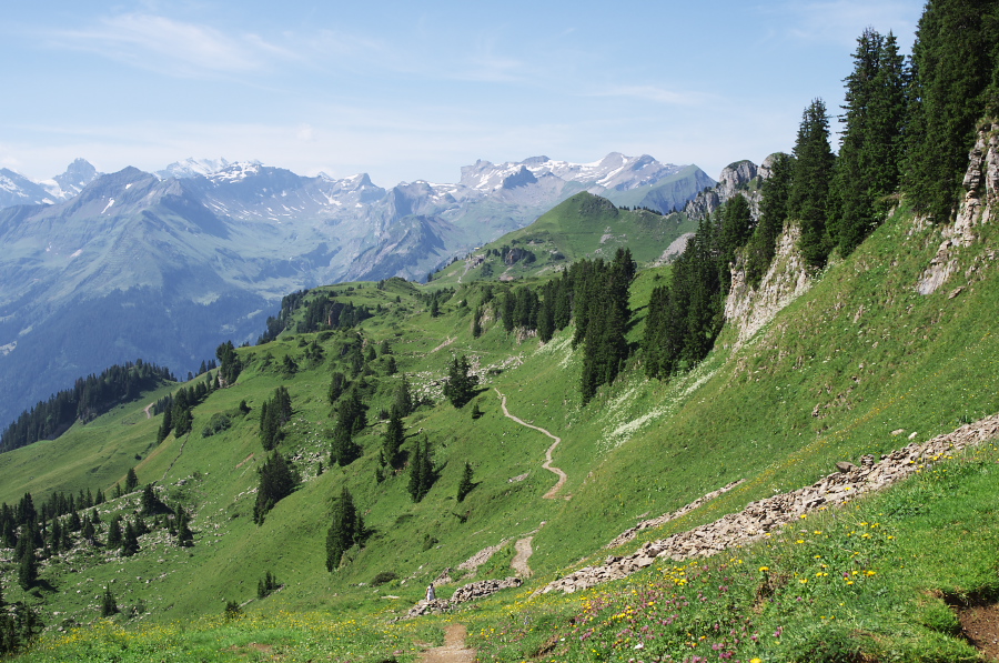 IMGP2253.jpg(452255 byte)