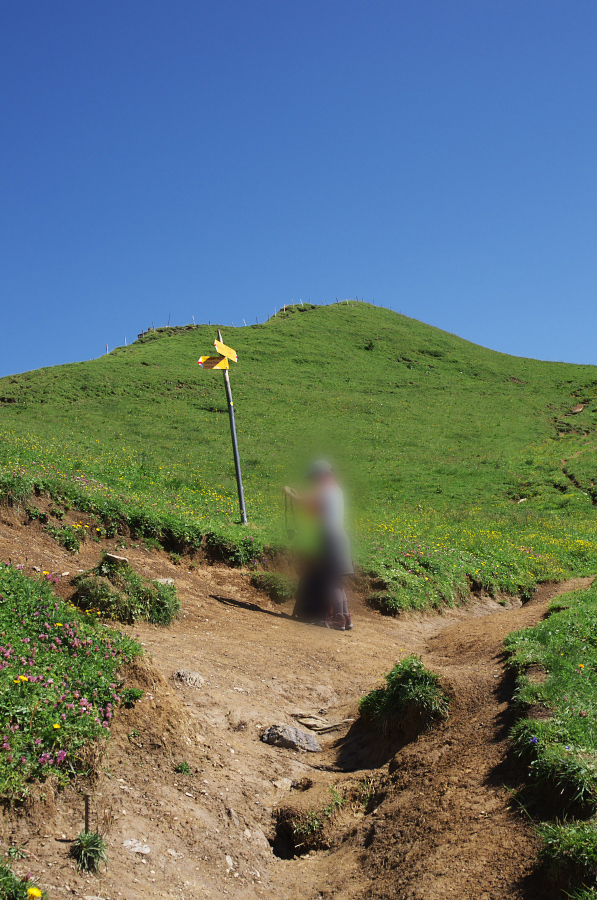 IMGP2258.jpg(408791 byte)