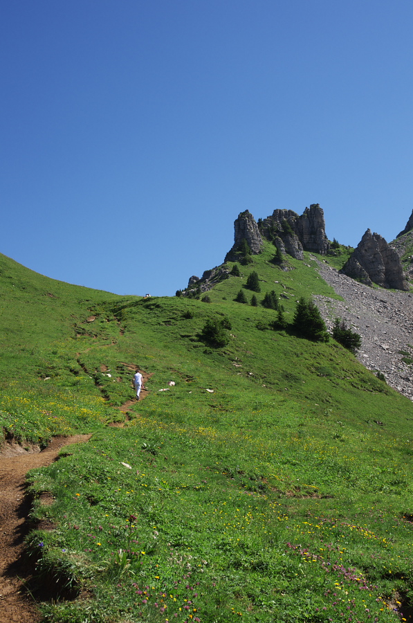 IMGP2259.jpg(398585 byte)