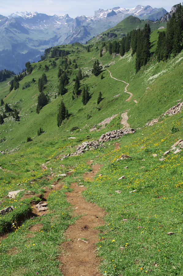 IMGP2262.jpg(568798 byte)