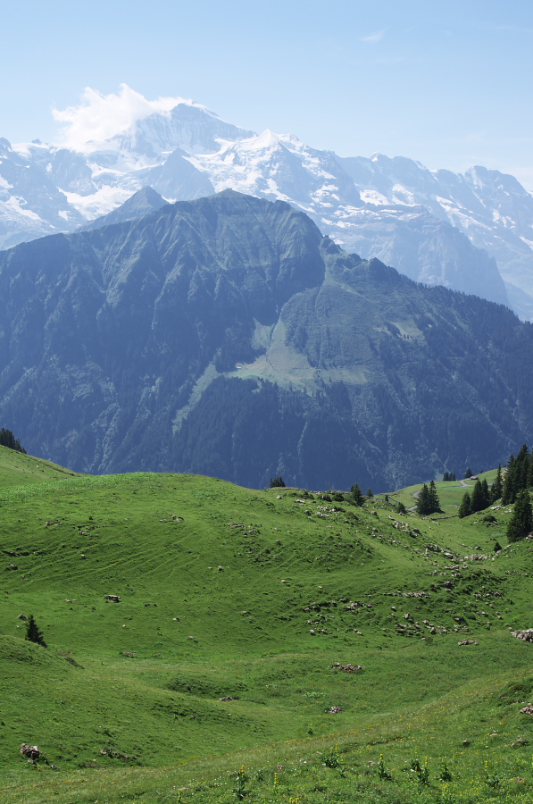 IMGP2267.jpg(347399 byte)