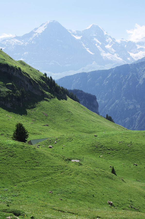 IMGP2268.jpg(372418 byte)