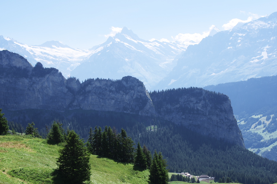 IMGP2277.jpg(273953 byte)