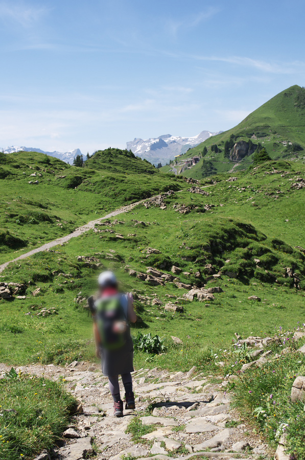 IMGP2280.jpg(455487 byte)