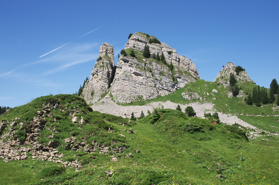 IMGP2282.jpg(425575 byte)