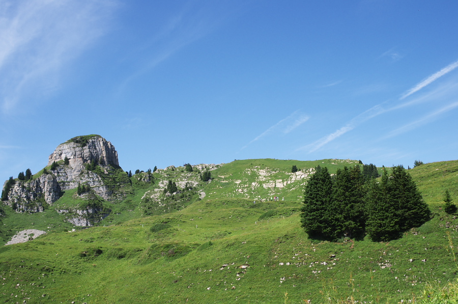 IMGP2287.jpg(329274 byte)