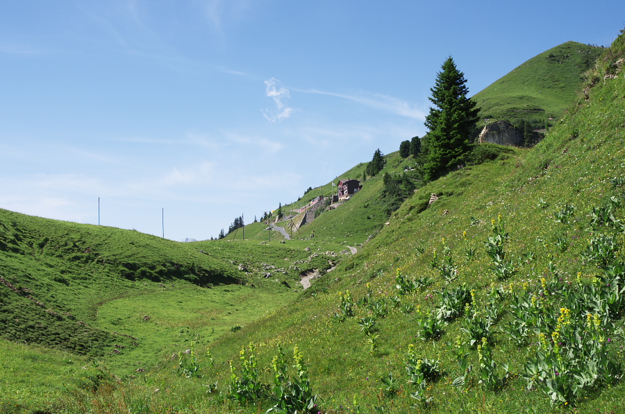 IMGP2289.jpg(430068 byte)