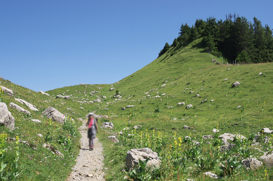 IMGP2291.jpg(441450 byte)