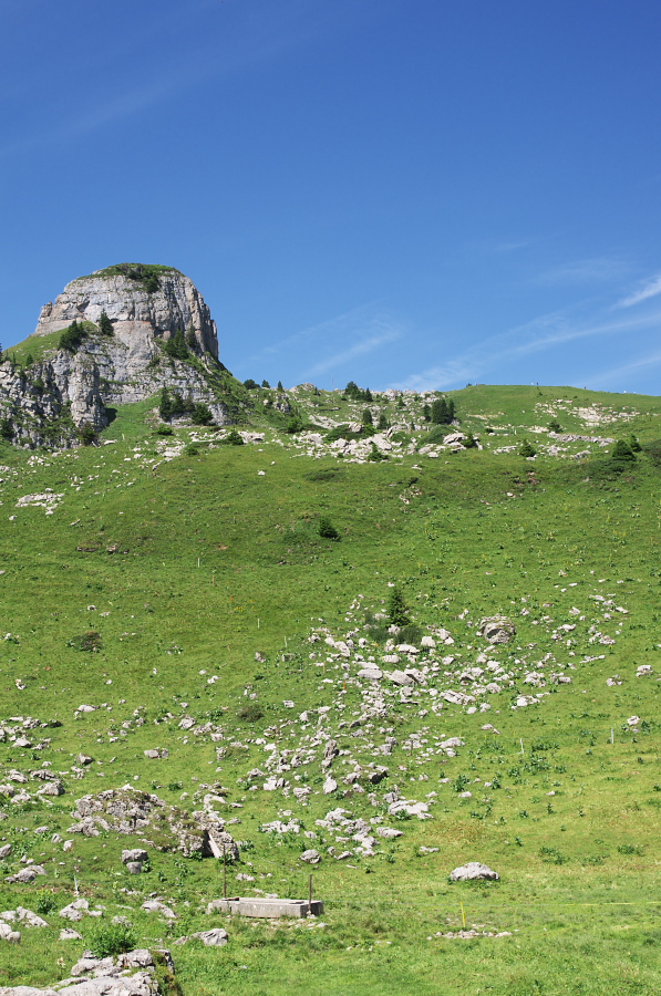 IMGP2297.jpg(425572 byte)