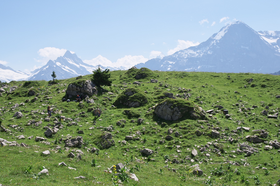 IMGP2299.jpg(432397 byte)