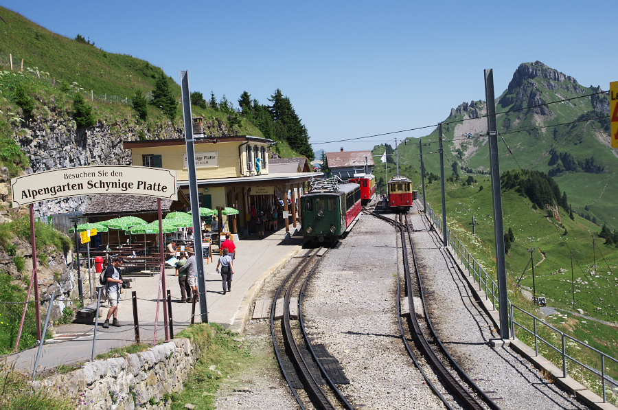 IMGP2303.jpg(468992 byte)