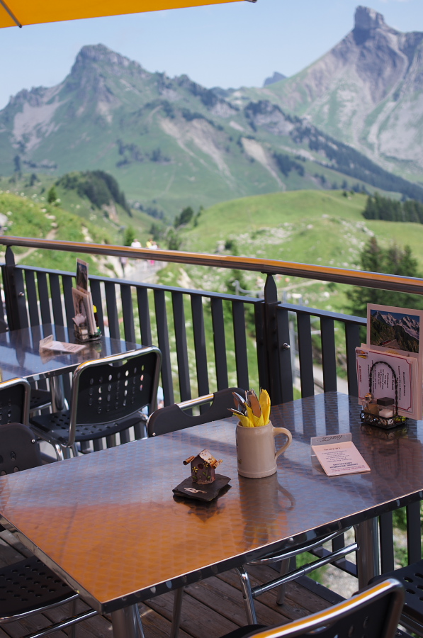 IMGP2362.jpg(293580 byte)