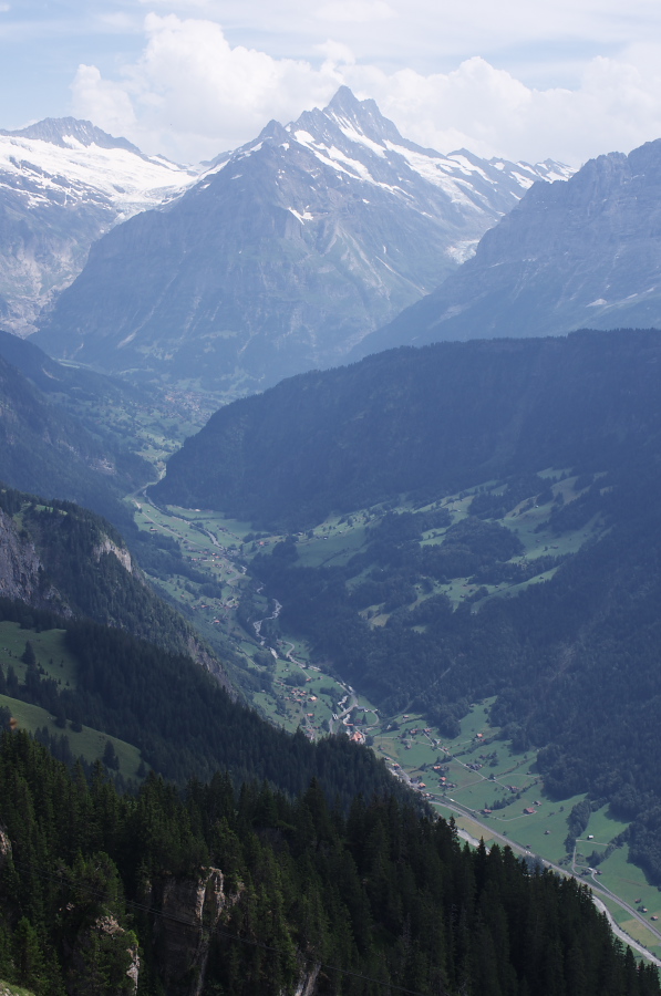 IMGP2366.jpg(254861 byte)