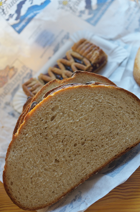 IMGP2479.jpg(325400 byte)