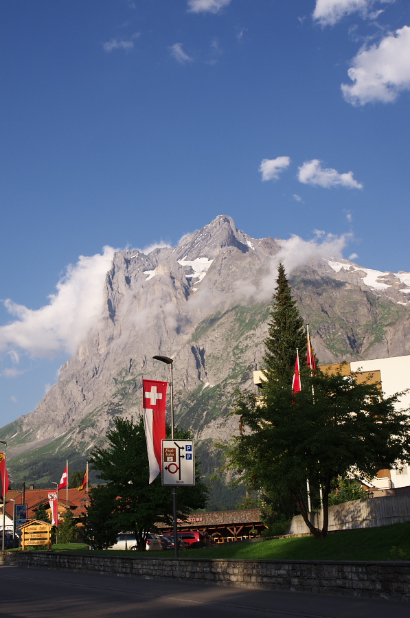 IMGP0766.jpg(294851 byte)