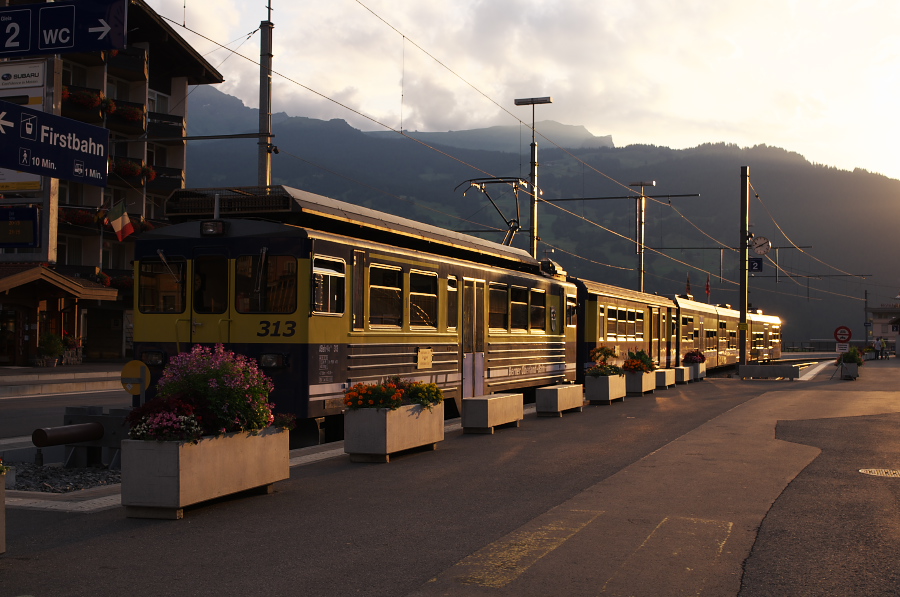 IMGP0807.jpg(303168 byte)