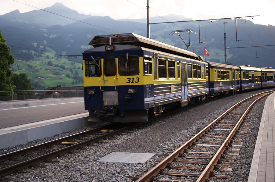 IMGP0846.jpg(376331 byte)