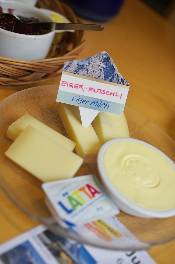 IMGP2488.jpg(209382 byte)