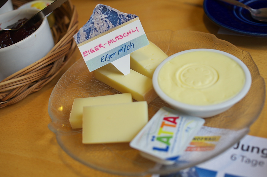 IMGP2490.jpg(224816 byte)