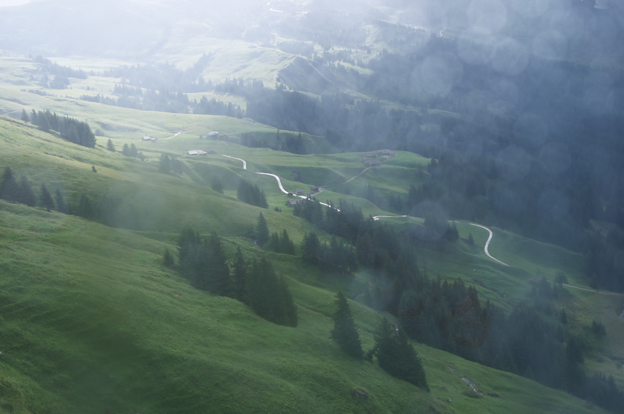 IMGP2504.jpg(202381 byte)