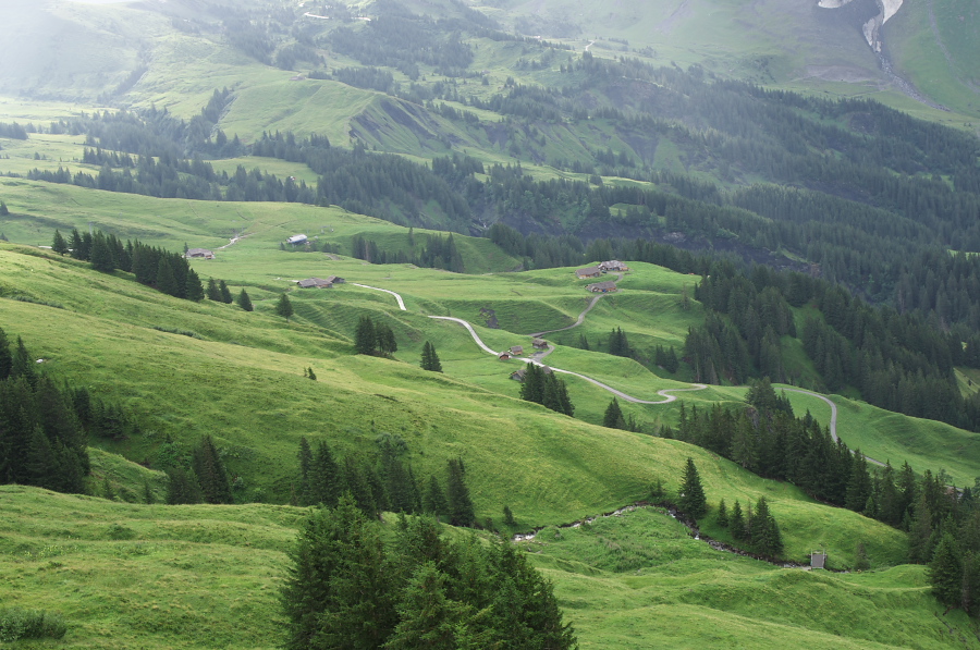 IMGP2507.jpg(381094 byte)