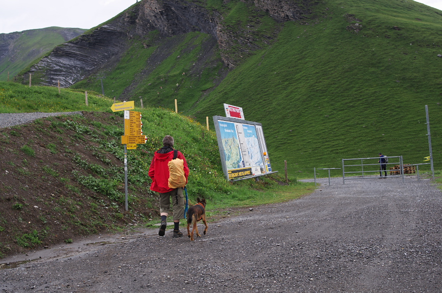 IMGP2515.jpg(453697 byte)