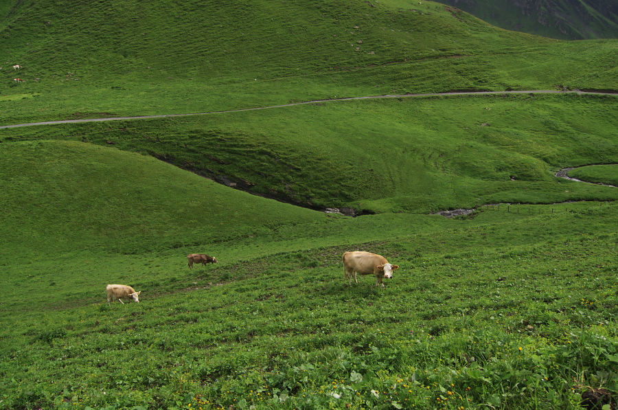 IMGP2548.jpg(502656 byte)