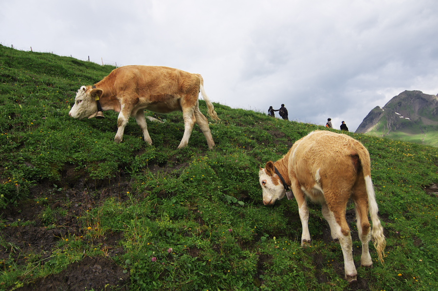 IMGP2551.jpg(420109 byte)